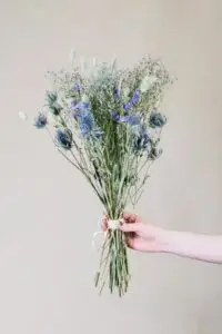 feey-1QaNCdK6AUE-unsplash